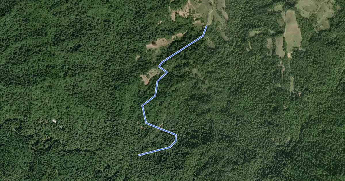 Маршрут Shingle Mill Trail на спутниковом снимке
