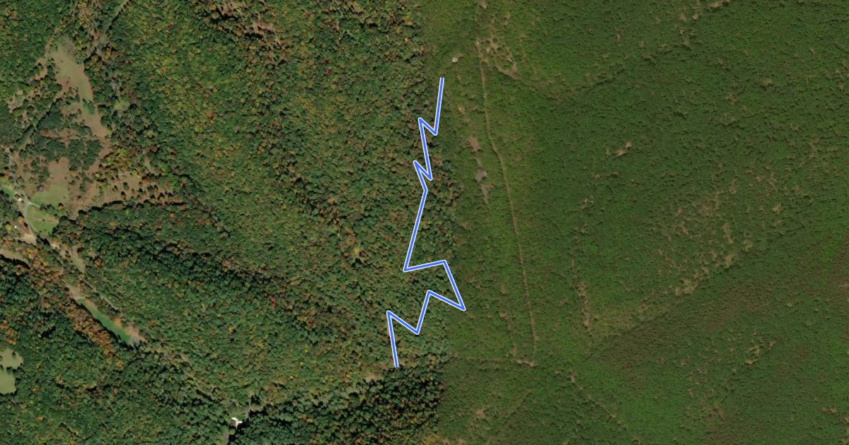 Маршрут Shingle Mill Trail на спутниковом снимке