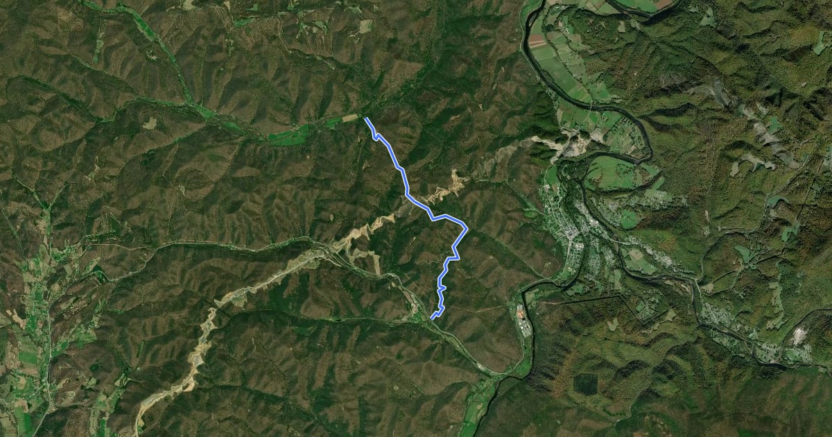 Маршрут Shingletree Trail на спутниковом снимке