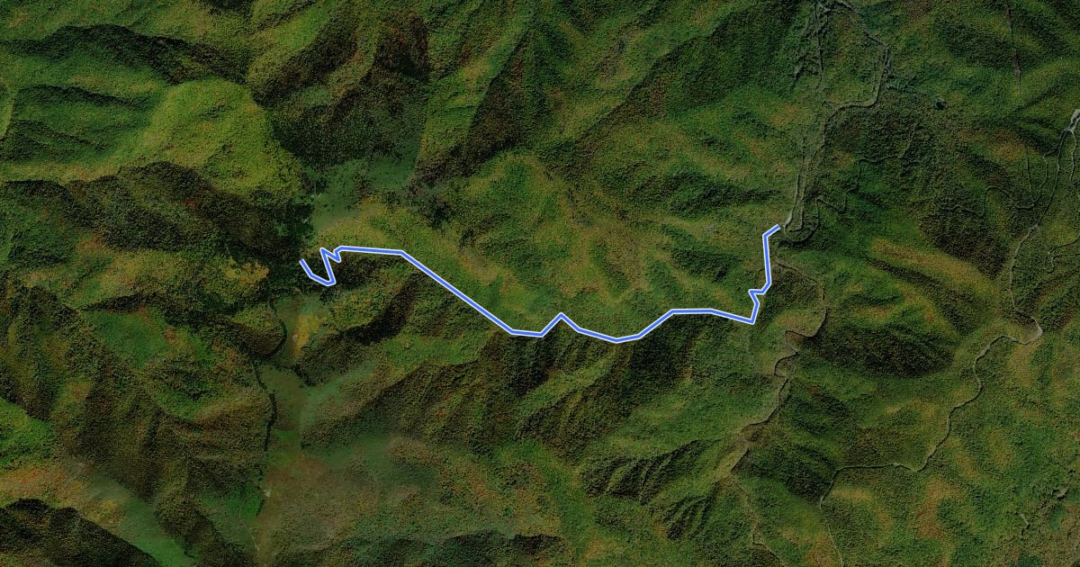 Маршрут Shining Creek Path на спутниковом снимке