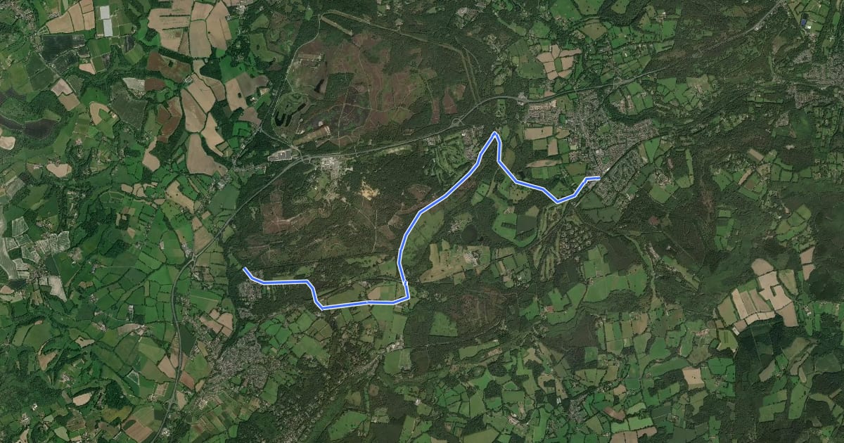 Маршрут Shipwrights Way (Liphook Spur) на спутниковом снимке