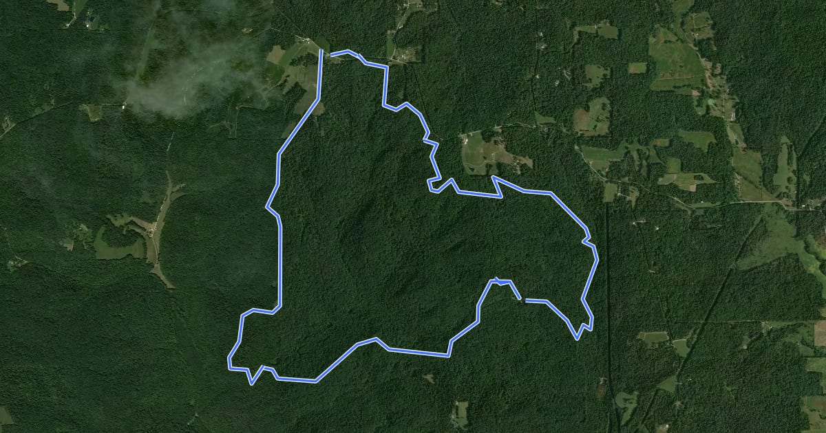 Маршрут Shirley Creek Trail на спутниковом снимке