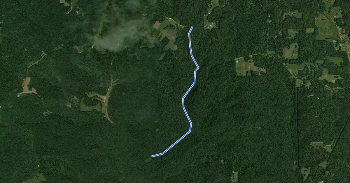 Маршрут Shirley Creek Trail 2 на спутниковом снимке
