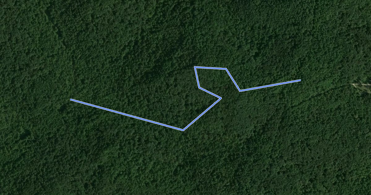 Маршрут Shirley Creek Trail 3 на спутниковом снимке
