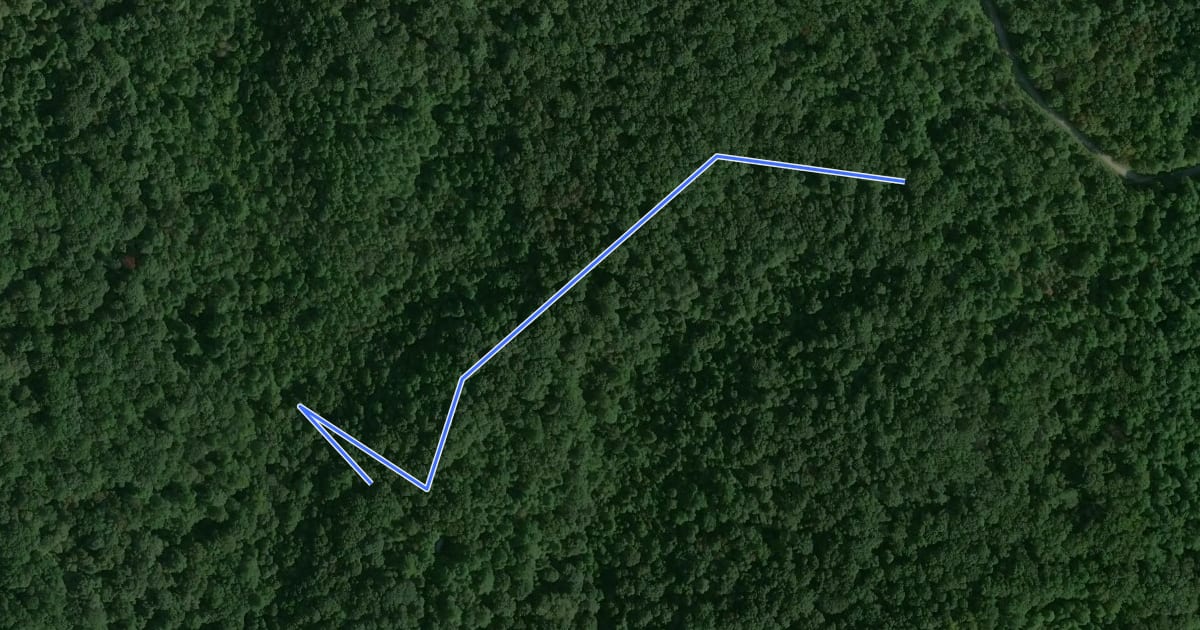 Маршрут Shirley Creek Trail 4 на спутниковом снимке