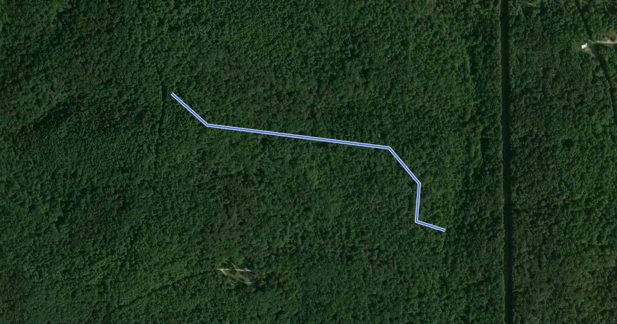 Маршрут Shirley Creek Trail 5 на спутниковом снимке