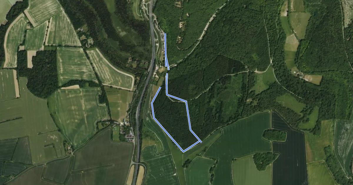 Маршрут Short Woodland Trail на спутниковом снимке