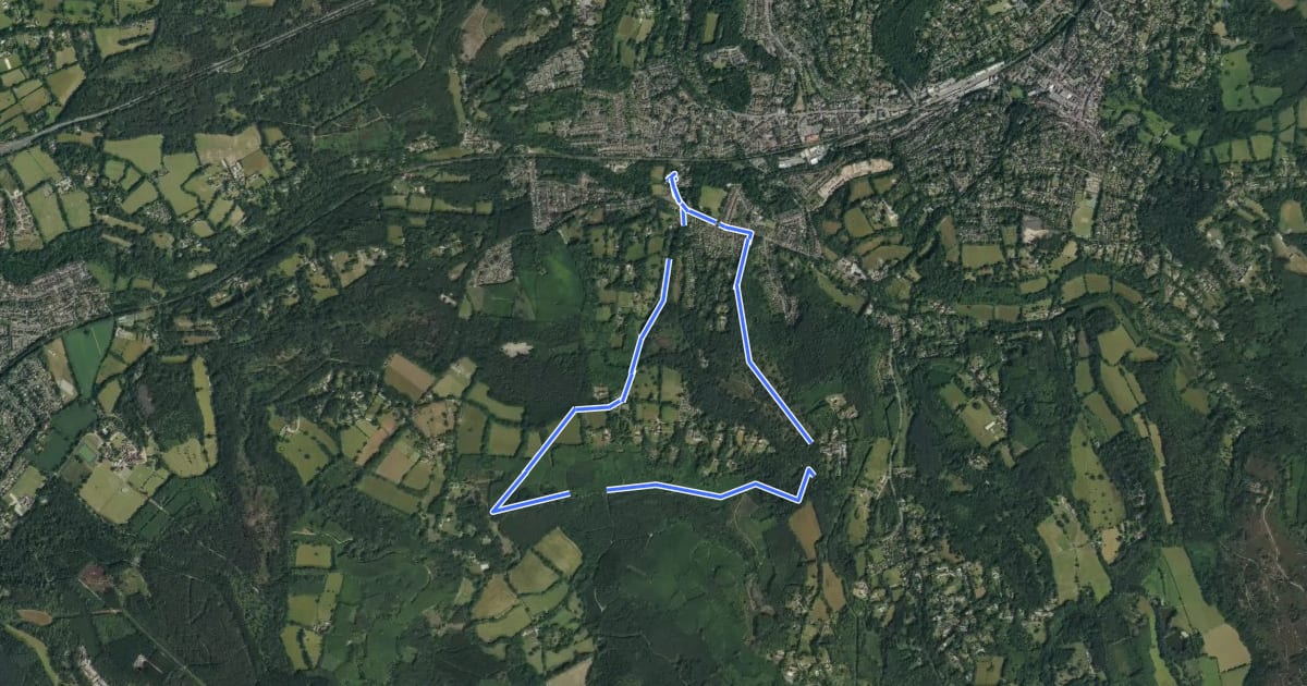 Маршрут Shottermill to Marley Common and Cognor Wood walk, Black Down на спутниковом снимке
