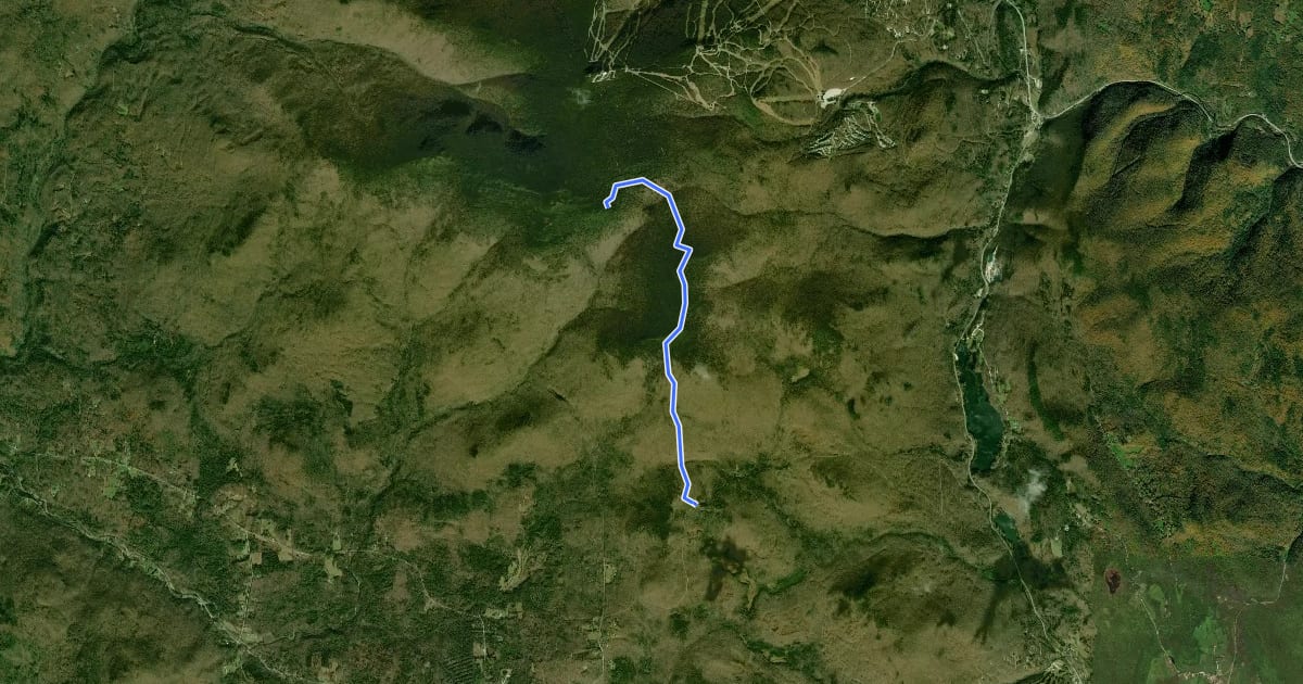 Маршрут Shrewsbury Peak Trail на спутниковом снимке