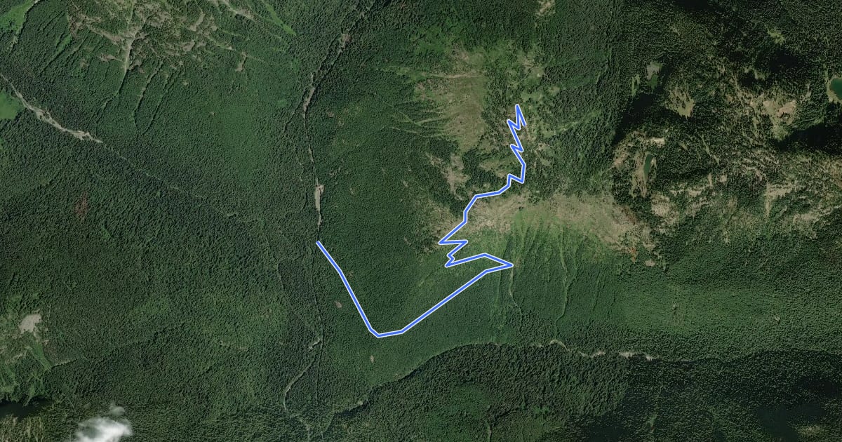 Маршрут Shriner Peak Trail на спутниковом снимке