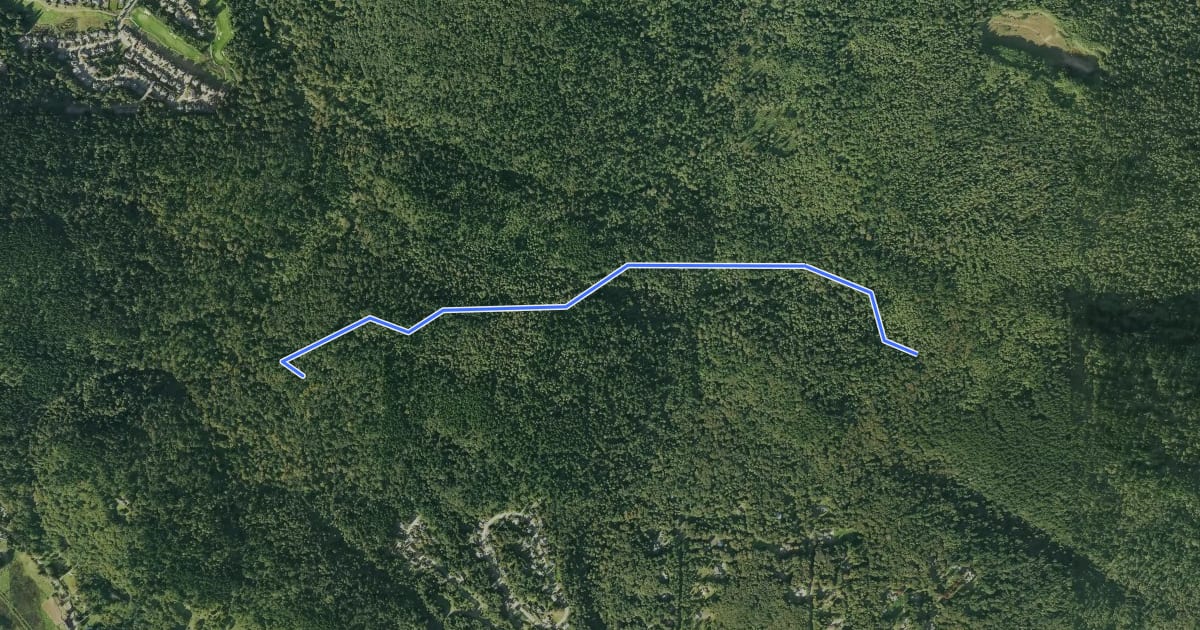 Маршрут Shy Bear Trail на спутниковом снимке