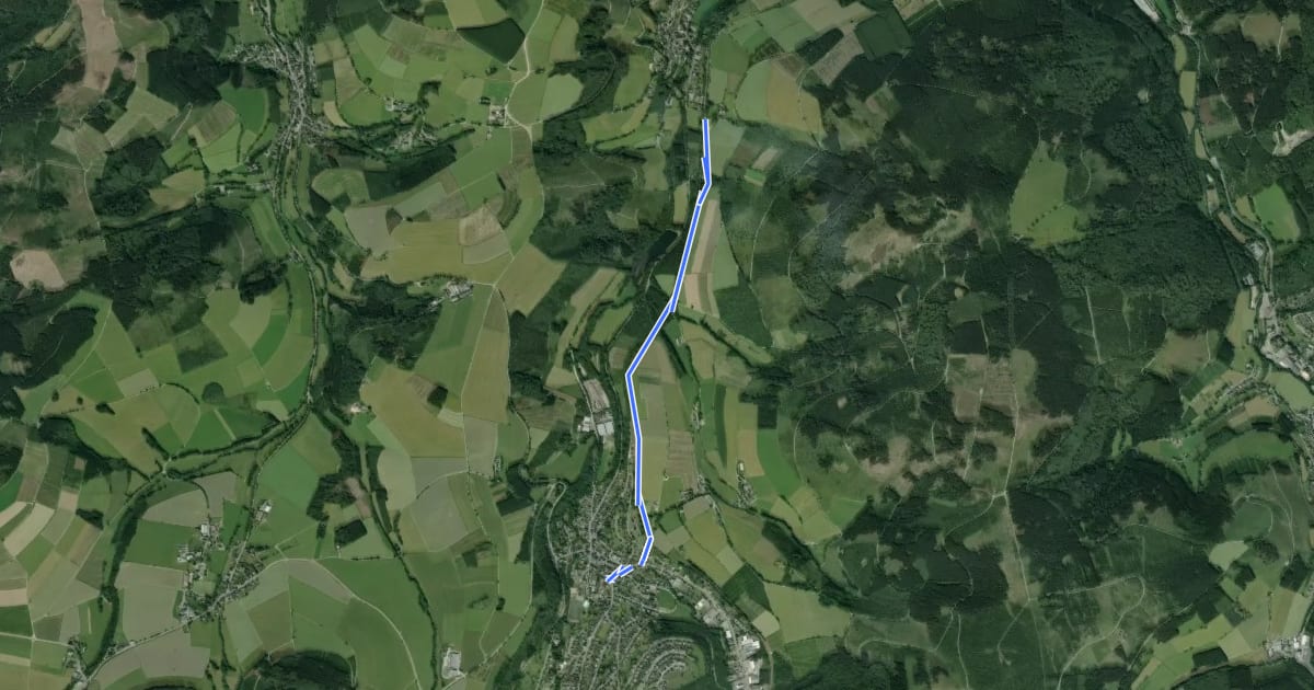 Маршрут Siedlinghausen Rundweg Sh4 Stauseeweg на спутниковом снимке