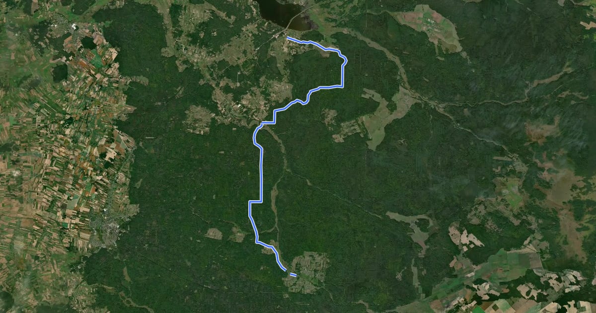 Маршрут Siemianówka - Białowieża на спутниковом снимке