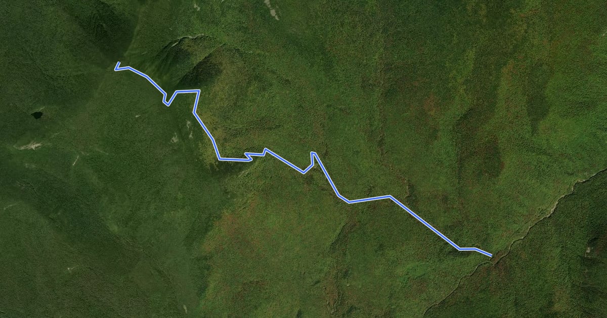Маршрут Signal Ridge Trail на спутниковом снимке