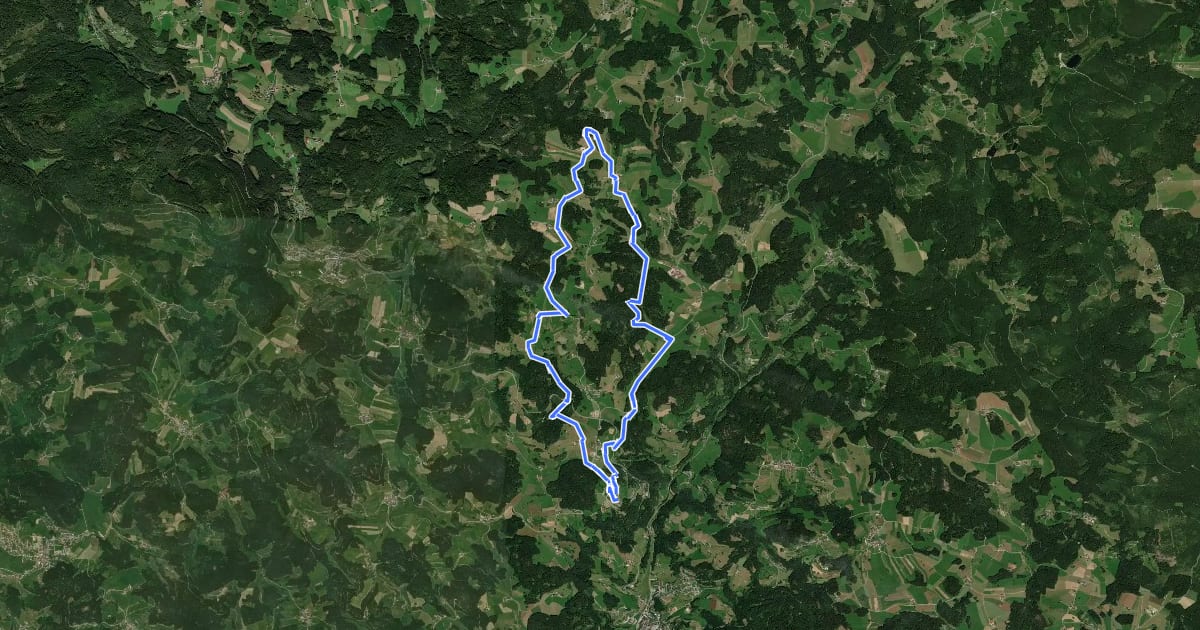 Маршрут Silberbergweg Nr. 40 на спутниковом снимке