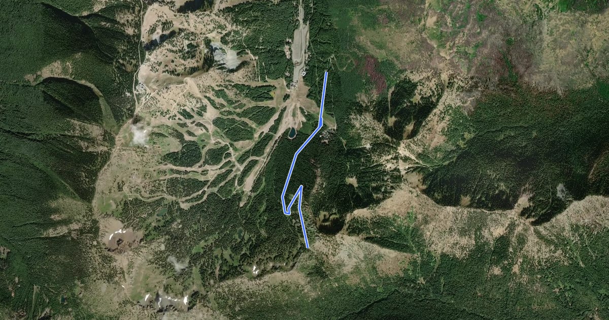 Маршрут Silver Creek Trail на спутниковом снимке