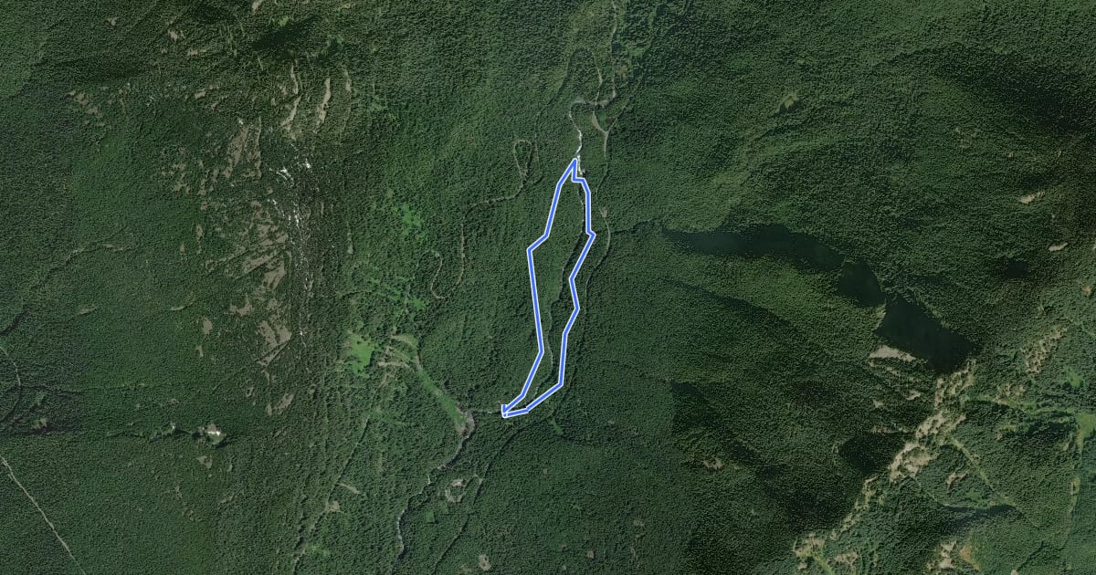 Маршрут Silver Falls Loop на спутниковом снимке