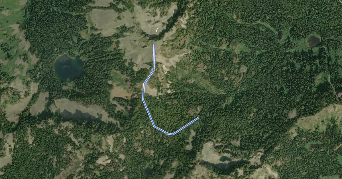 Маршрут Silver Peak Trail на спутниковом снимке