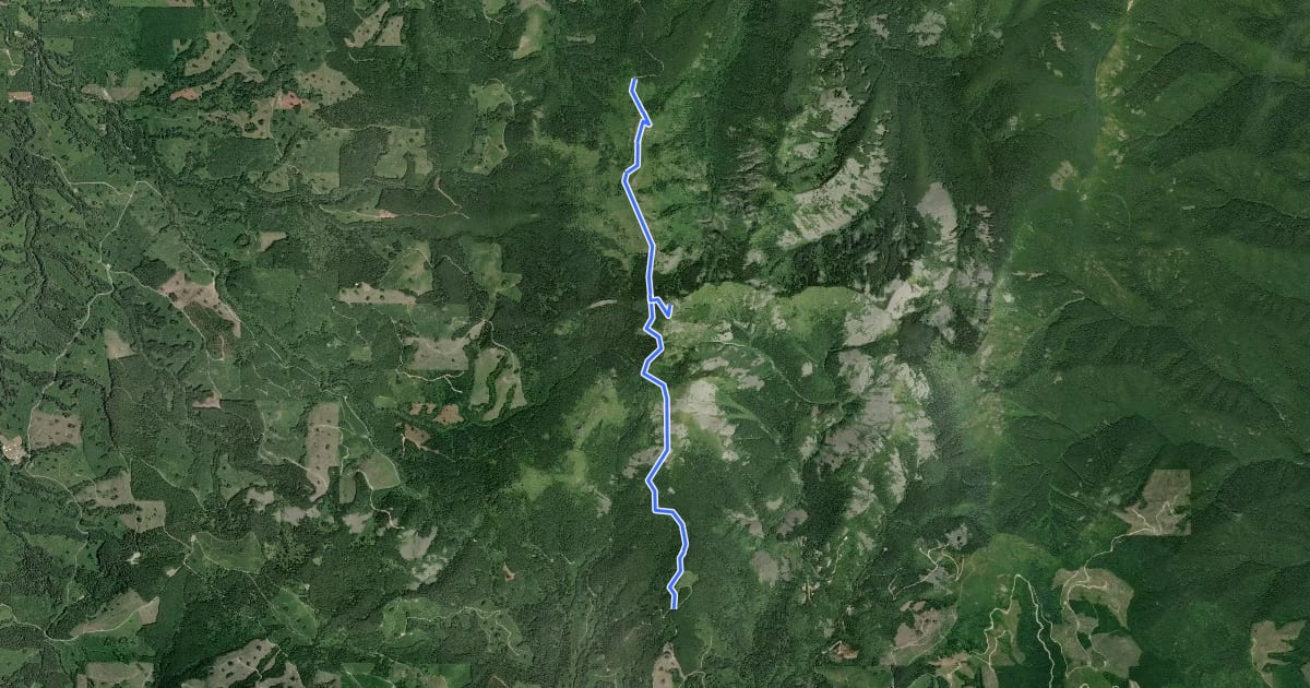 Маршрут Silver Star Trail на спутниковом снимке