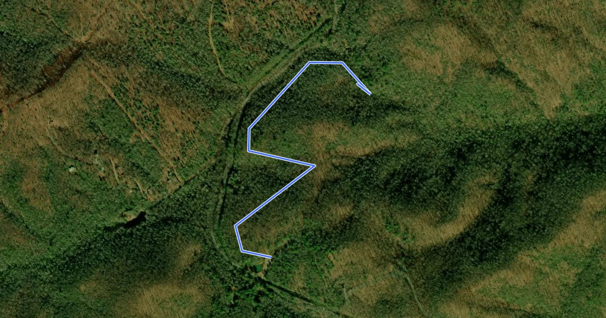 Маршрут Silver Steps Trail на спутниковом снимке