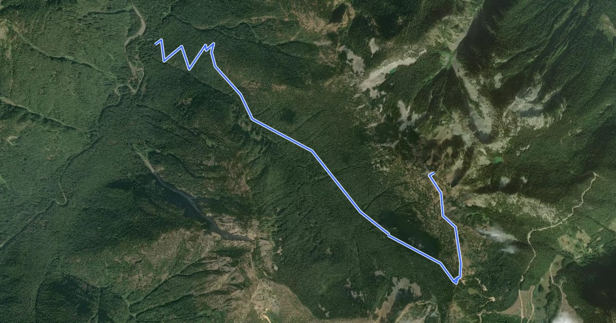 Маршрут Silverdaisy Trail на спутниковом снимке