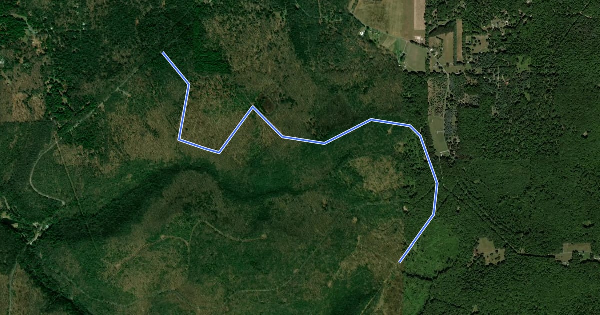 Маршрут Silvis Trail на спутниковом снимке