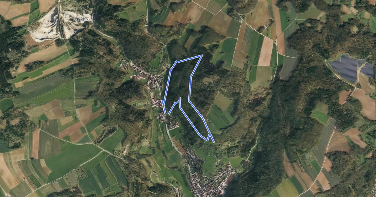 Маршрут Simmelsdorfer Rundwanderweg Blau 1 на спутниковом снимке