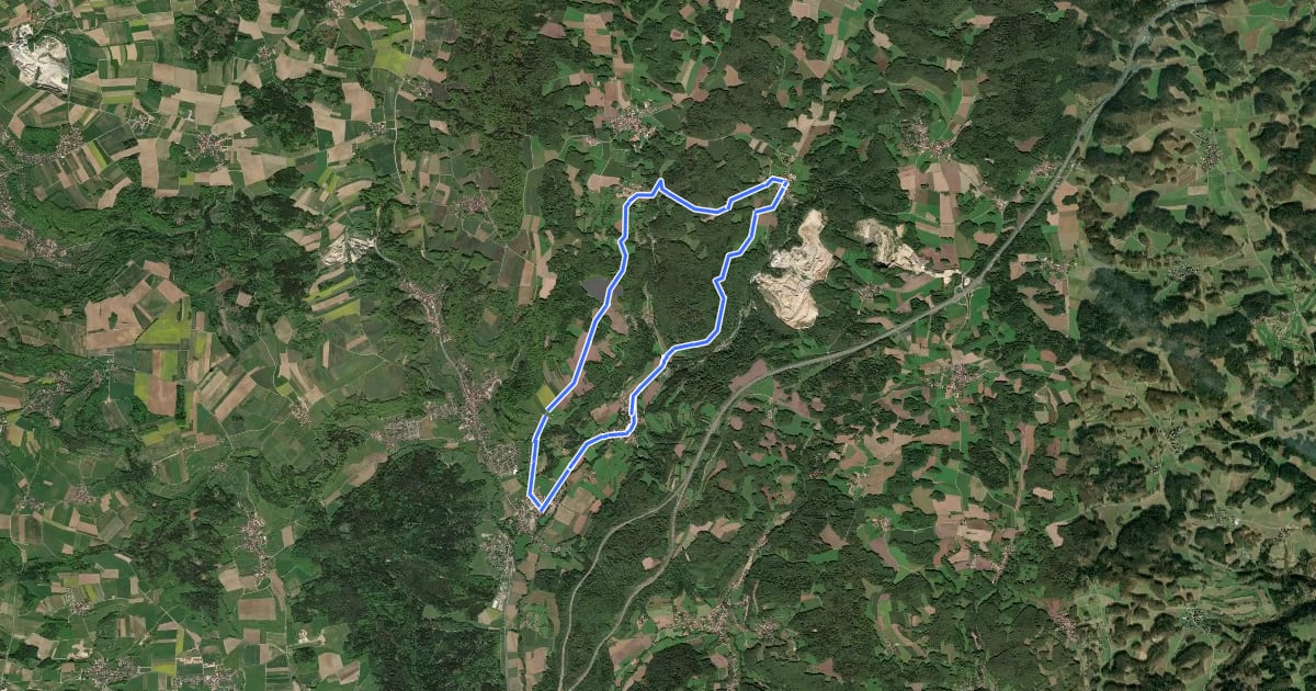 Маршрут Simmelsdorfer Rundwanderweg Gelb 10 на спутниковом снимке