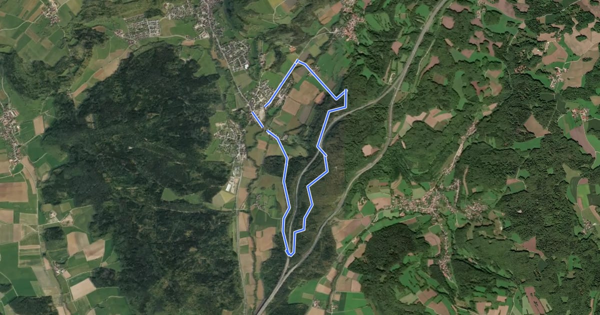 Маршрут Simmelsdorfer Rundwanderweg Gelb 6 на спутниковом снимке