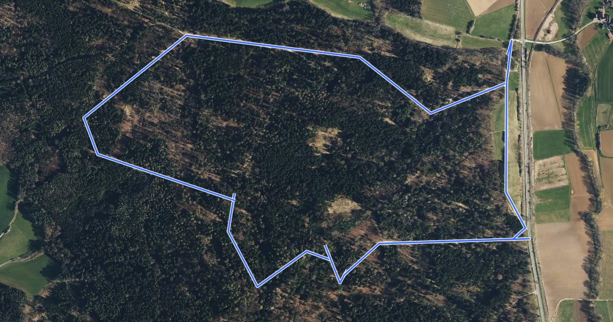 Маршрут Simmelsdorfer Rundwanderweg Gelb 8 на спутниковом снимке