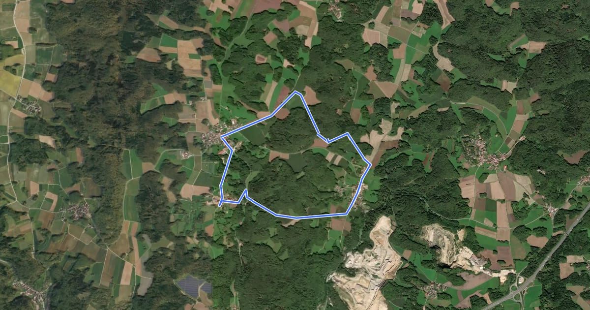 Маршрут Simmelsdorfer Rundwanderweg Rot 8 на спутниковом снимке