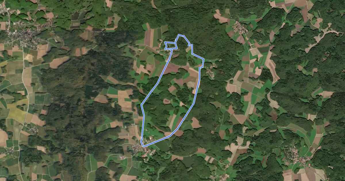 Маршрут Simmelsdorfer Rundwanderweg Rot 9 на спутниковом снимке
