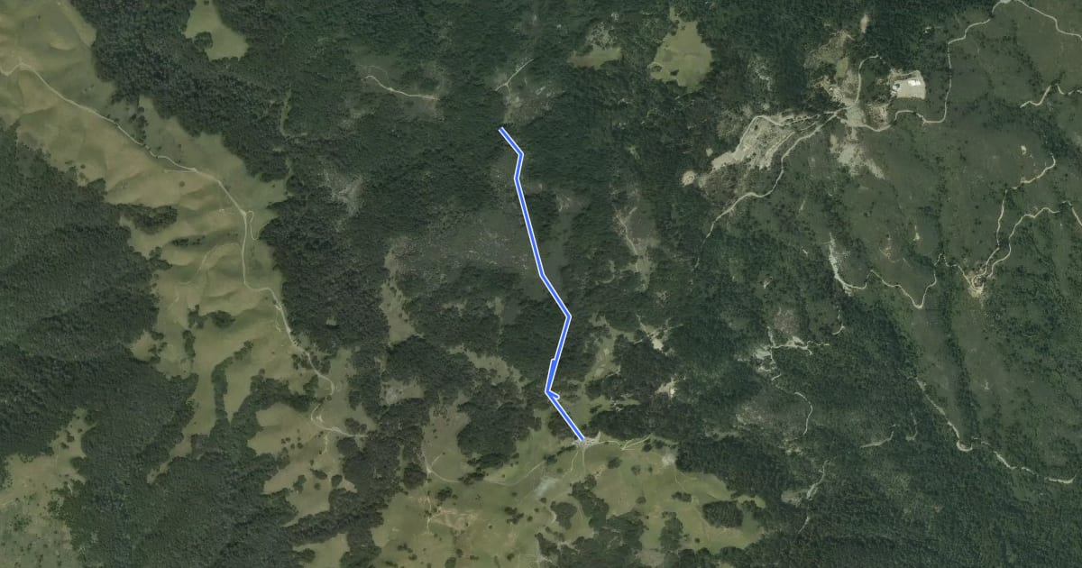 Маршрут Simmons Trail на спутниковом снимке
