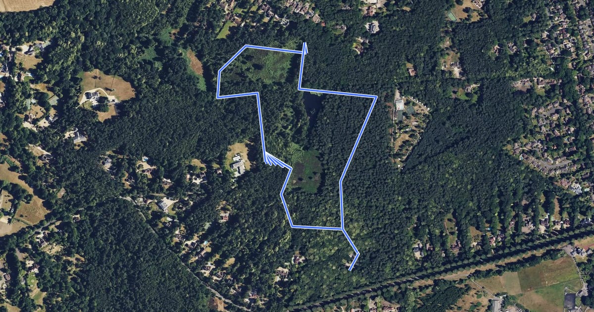 Маршрут Simons Wood Trail, Finchampstead Ridges на спутниковом снимке