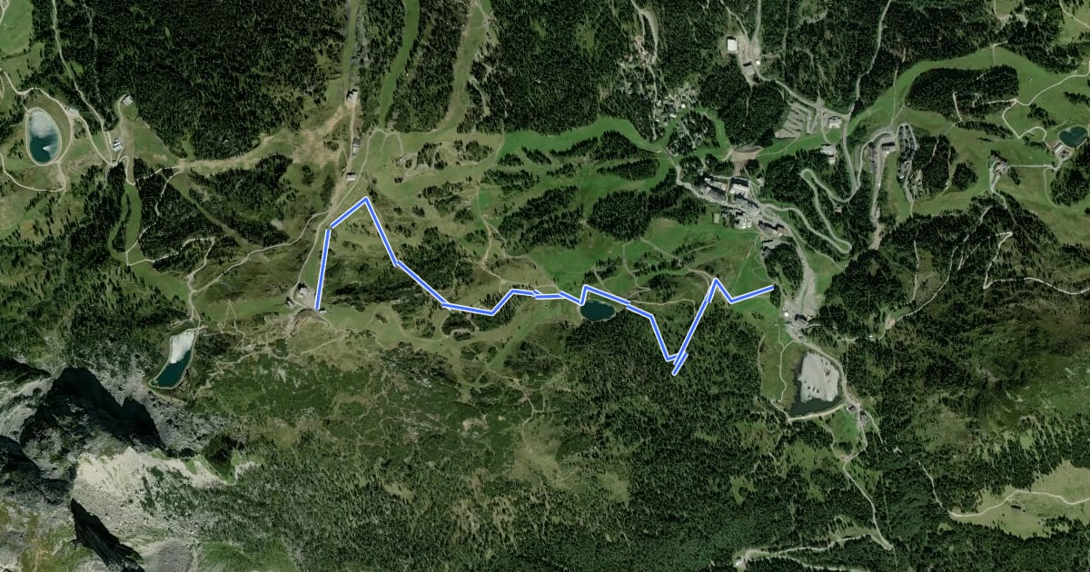 Маршрут Single Trail EASY WAY на спутниковом снимке