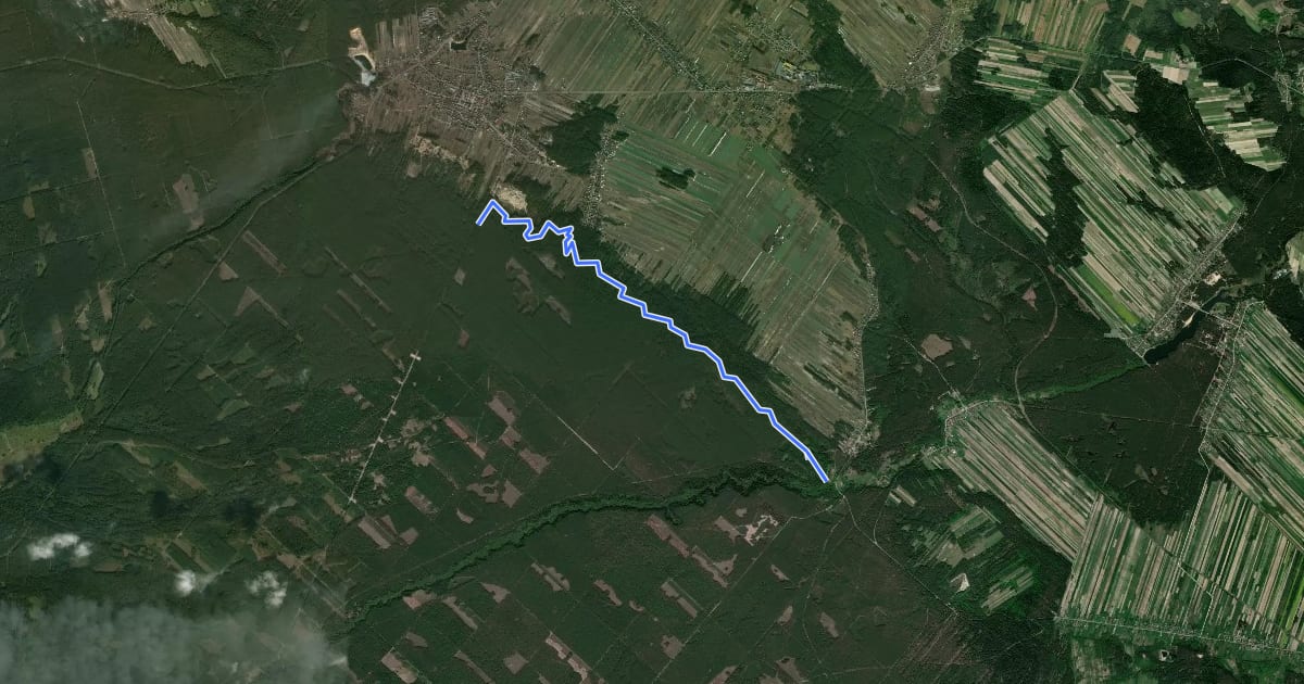 Маршрут SingleTrack на спутниковом снимке