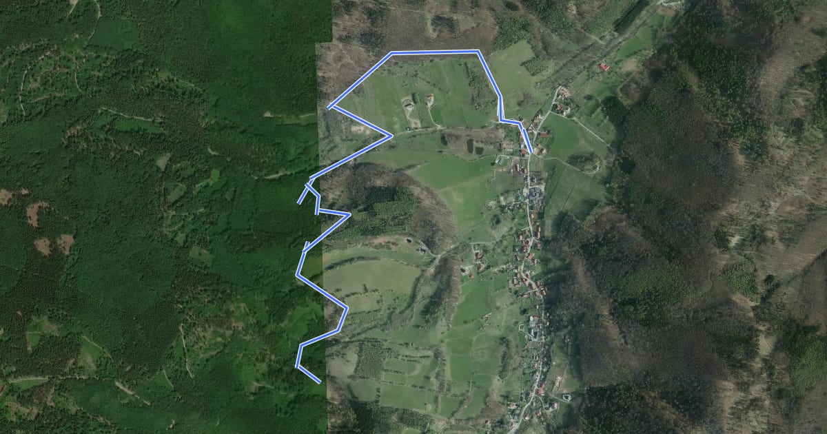 Маршрут Singletrack Kamionki на спутниковом снимке