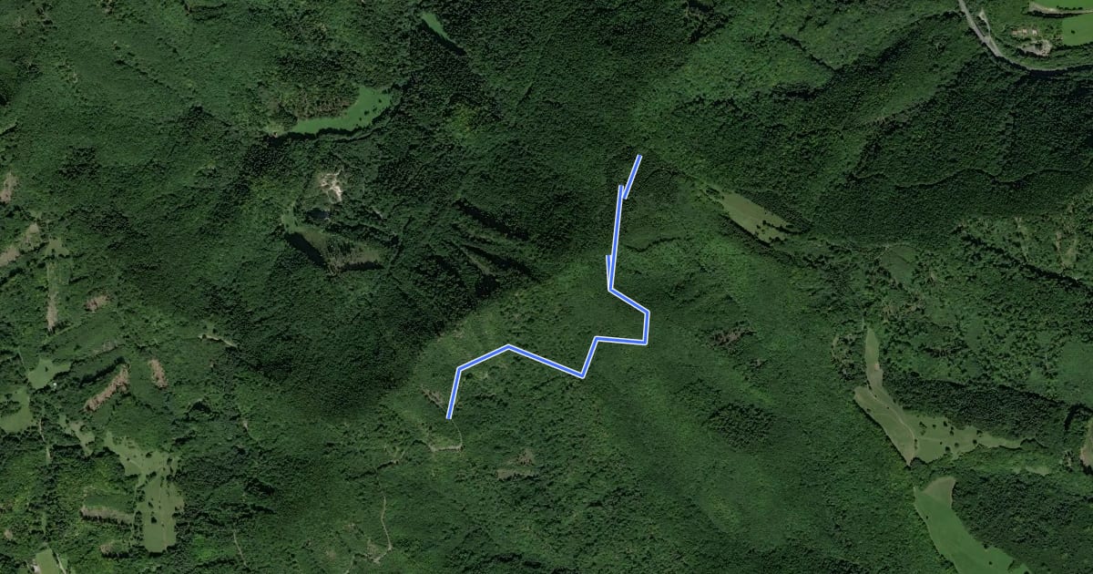 Маршрут Singletrail RAVASKY на спутниковом снимке