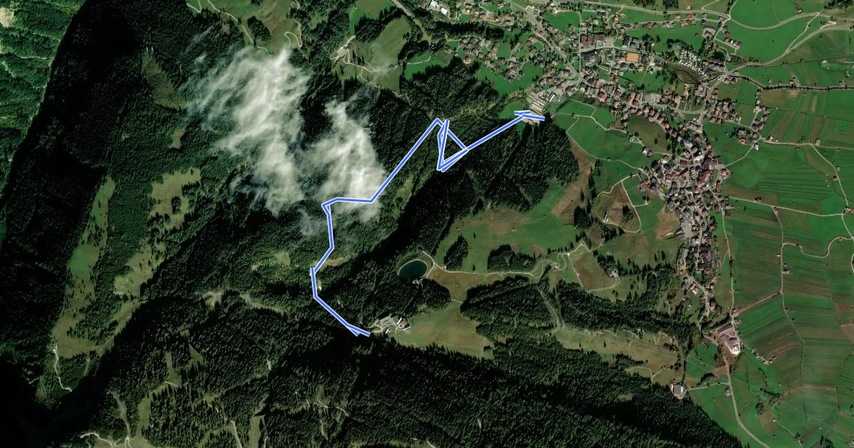 Маршрут Singletrail Schlägele на спутниковом снимке