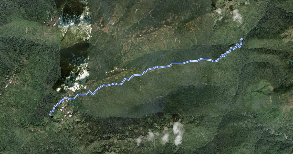 Маршрут Six Ridge Primitive Trail на спутниковом снимке