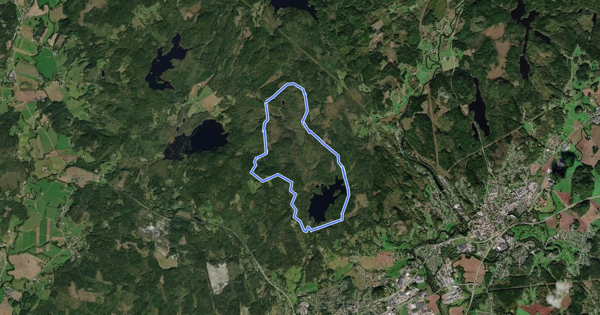 Маршрут Skene 10 km Motionsspår на спутниковом снимке