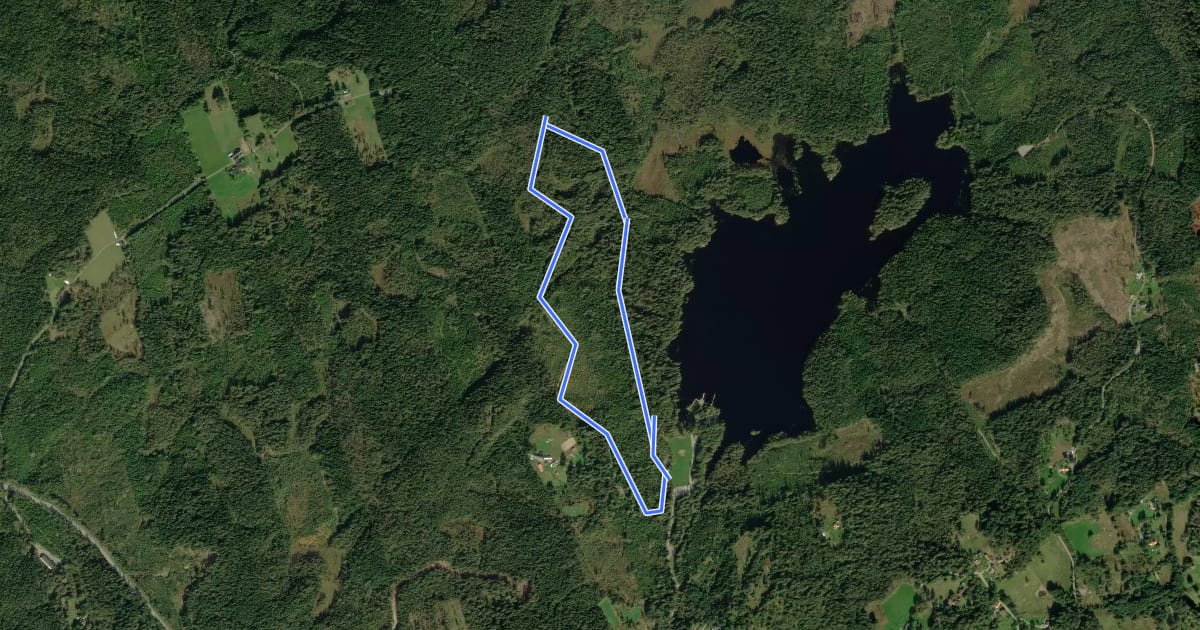 Маршрут Skene 2,5 km Elljusspår на спутниковом снимке