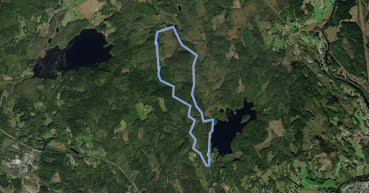 Маршрут Skene 6 km Motionsspår на спутниковом снимке