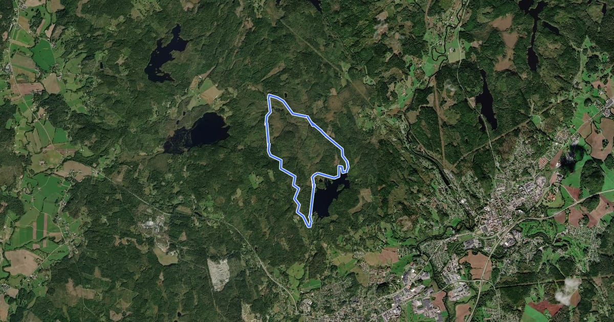 Маршрут Skene 8 km Motionsspår на спутниковом снимке