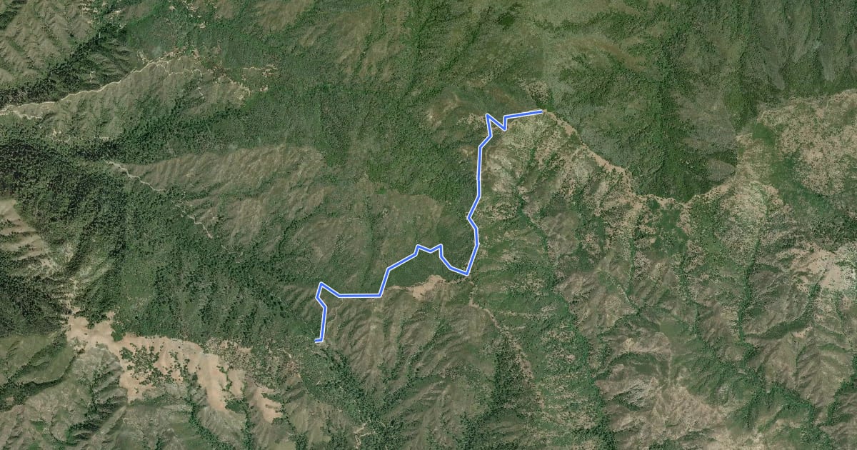 Маршрут Skinner Ridge Trail на спутниковом снимке