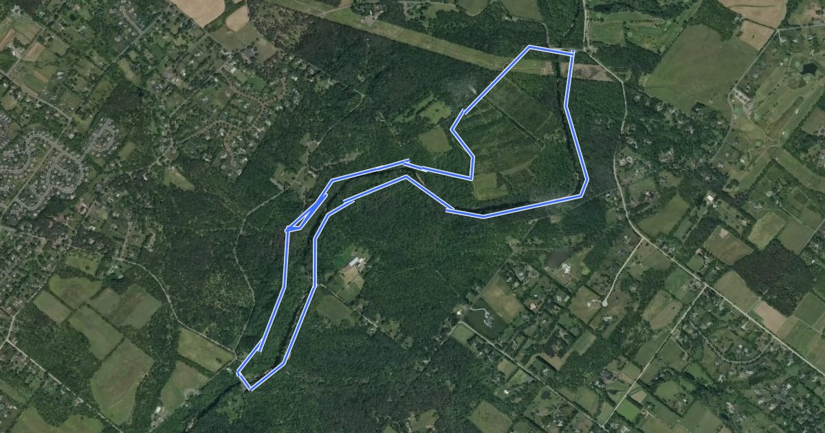 Маршрут Skippack Creek Loop Trail на спутниковом снимке