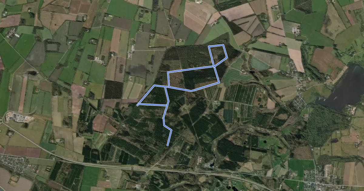 Маршрут Skirute i Gødding Skov на спутниковом снимке
