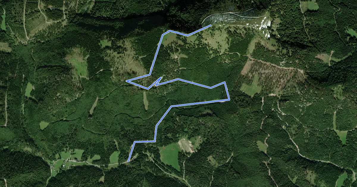 Маршрут Skitour Großer Sulzberg на спутниковом снимке