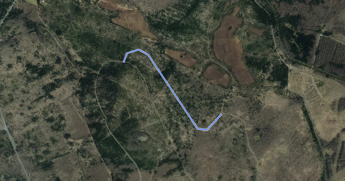 Маршрут Skiwanderweg Achtermann-Loipe - Rotes-Bruch-Loipe на спутниковом снимке