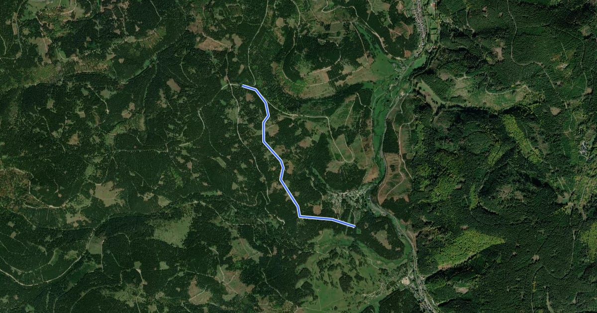 Маршрут Skiwanderweg Campingplatz Meyersgrund - Zwei Wiesen на спутниковом снимке